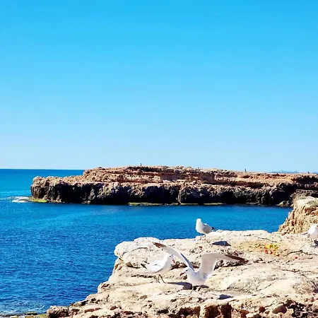 With Garden דירה