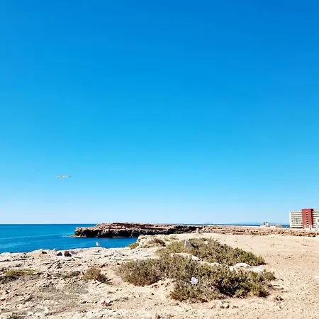 With Garden * טורבייחה